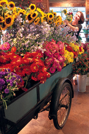 flower cart