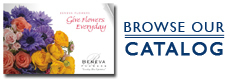 Beneva Flowers