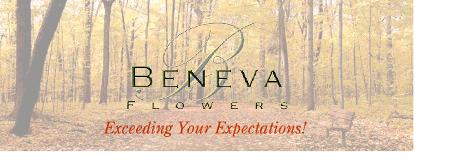 Beneva Flowers