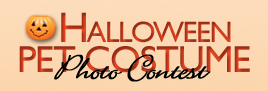 2009 Halloween Pet Costume Photo Contest