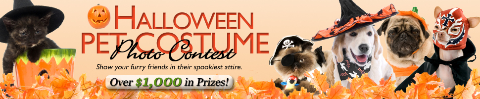 2011 Halloween Pet Costume Photo Contest