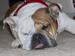 Ahhh Dizzy is so Dizzy Tired....