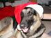 Waitin' on Santa to arrive