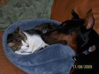 snuggle buddies