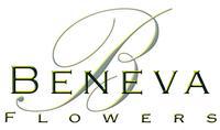 Beneva Flowers