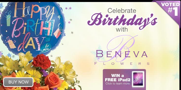Birthday still - 