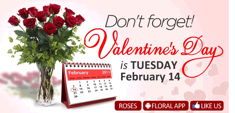 Valentine Rouge - Experience the finest rose this Valentine's day, Rouge.