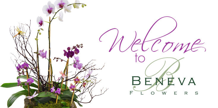 Beneva Flowers Voted #1 Florist in Sarasota.