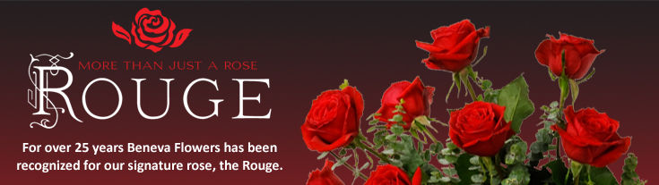 Roses