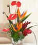Longboat Key Florist