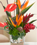 Tropicals