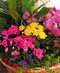 Flowering Plants