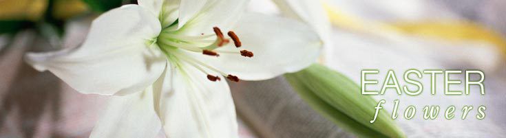 Easter Flowers & Gifts