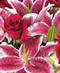 Valentine's Day Flowers & Gifts