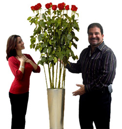 Epic Roses