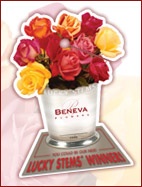 Lucky Stems&reg; Contest