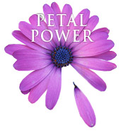 Petal Rewards&trade;