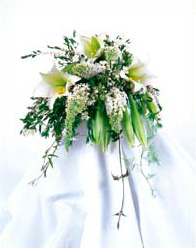 Weddings at Beneva Flowers