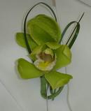 Dendrobium Orchid with Bear Grass Loops