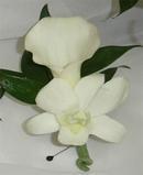 Mini Calla Lily and Stephanotis