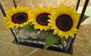 Ritz Sunflower Bunch