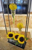 Ritz Sunflower Cradle