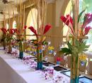 Tropical Ritz Setting