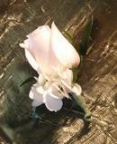 Rose with Hydrangea