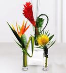 Tropical Centerpieces