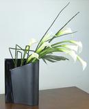"Artisic Calla Lilies"