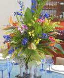 "A Stunning Tropical Centerpiece"