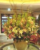 "Lily Garden"