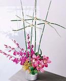 "Orchids by Design"
