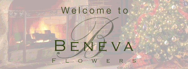 Beneva Flowers