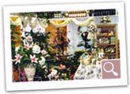 Beneva Flowers Inside Store
