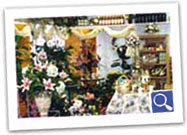 Beneva Flowers Inside Store
