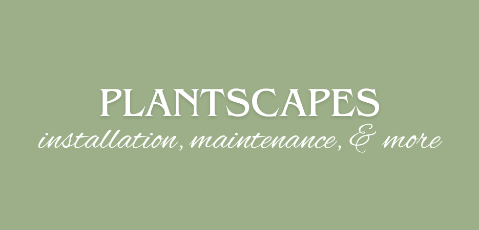 Plantscapes