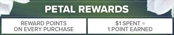 Petal Reward Points Program