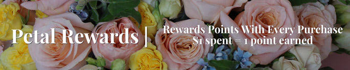 Petal Reward Points Program