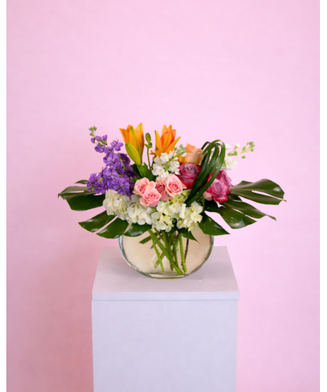 Sunday Morning Meadow