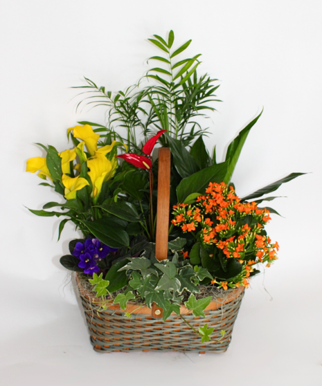 Blooming Garden Basket