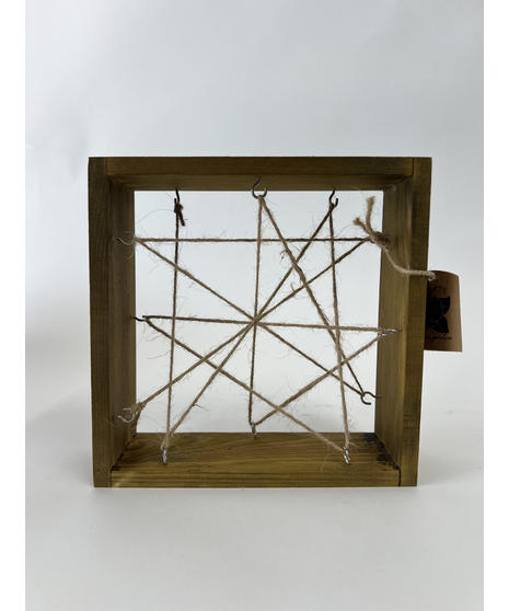 Air Plant Frame