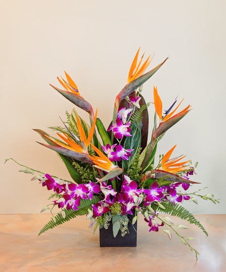 Fall Birds of Paradise