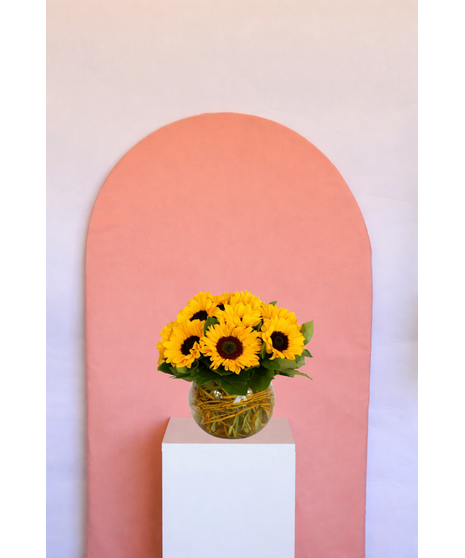 Fields of Sunshine