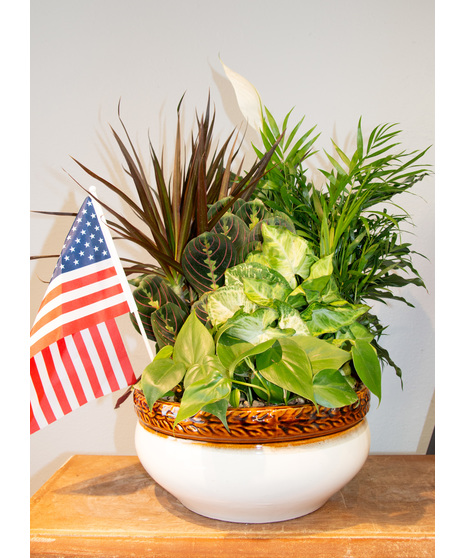 Patriotic Dish Garden
