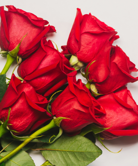 Wrapped Rose Special