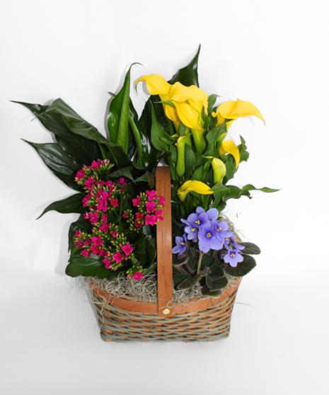 Blooming Garden Basket