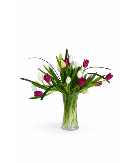 Mixed Tulips