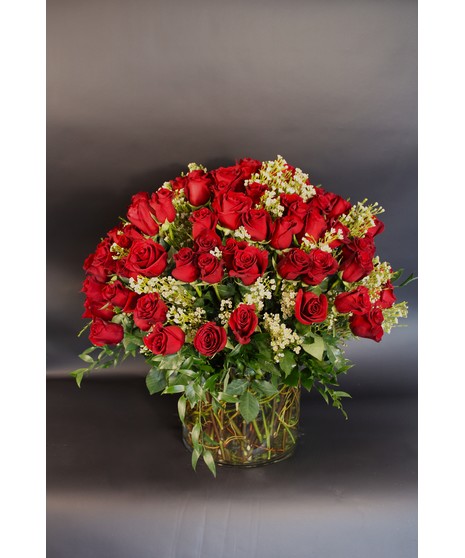 100 Premium Roses