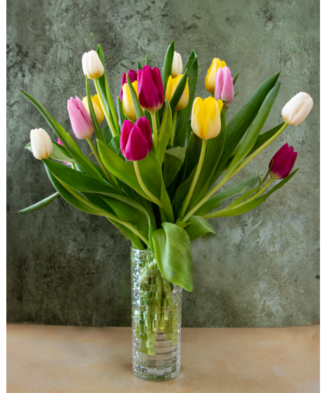 Tulips For Two